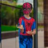 HOMEM ARANHA